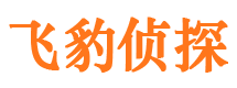 青山区市婚姻调查